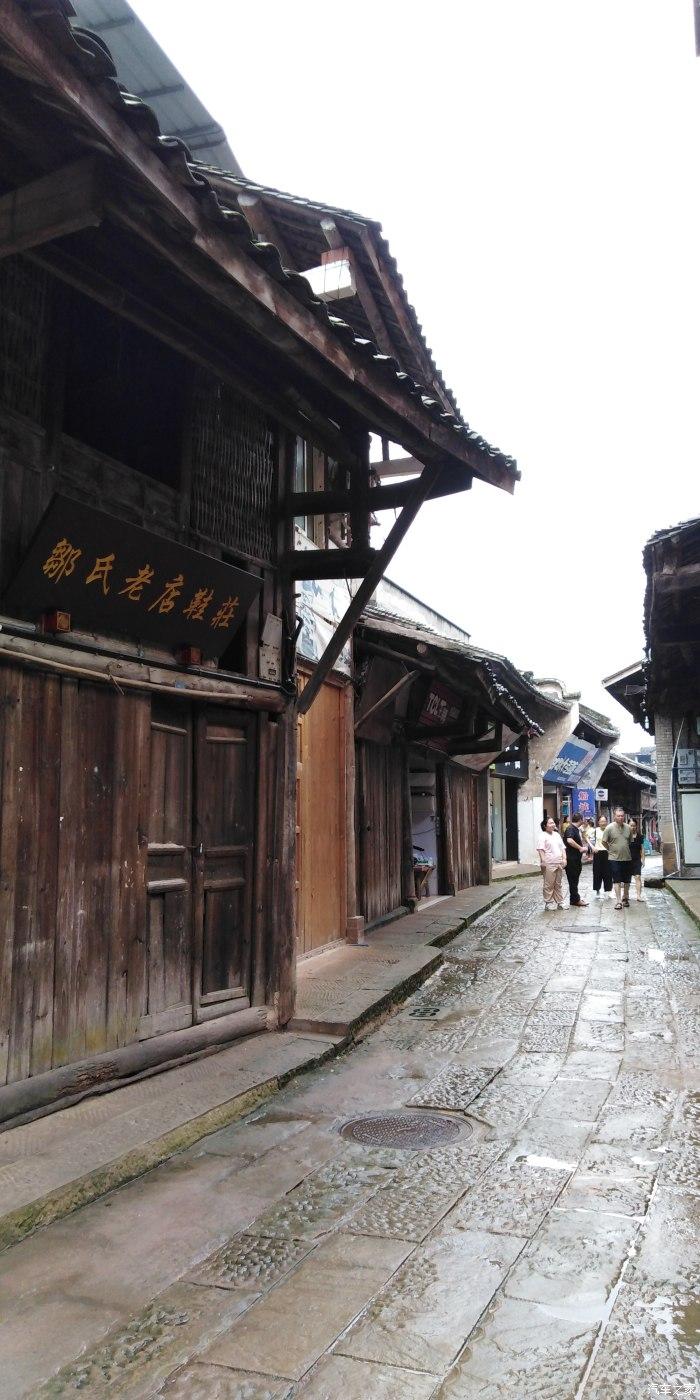 拯救蓝色小鸟